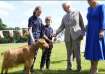 King Charles and Queen Camilla pet a rare Golden Guernsey