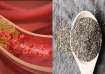 Chia seed to lower cholesterol level
