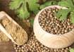 One spoon of coriander seeds can cure serious diseases.