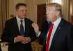 Tesla CEO Elon Musk with former US President Donald Trump