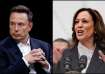 X owner Elon Musk and US Vice President Kamala Harris.