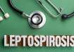 leptospirosis