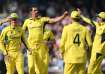 Mitchell Starc celebrates with his teammates.