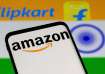 Flipkart, Amazon