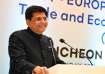 What is Russian Startup model proposed by Piyush Goyal 