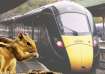 Two squirrel travellers force train cancellation