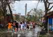 People use ropes to remove fallen trees following the