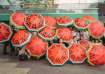 Agitators staged protest carrying watermelon-printed umbrellas in Singapore 