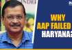 Why AAP failed to open account in Haryana polls?