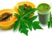 Papaya Leaf juice