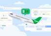 Google Flights feature