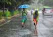 Monsoon, monsoon 2024, IMD, rainfall 