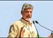 Andhra Pradesh CM N Chandrababu Naidu