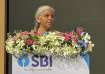 Nirmala Sitharaman, Banking Amendment Law,