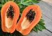 Papaya leaves and seeds