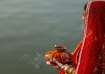 Chhath Puja 2024, Chhath Puja, India celebrates as vratis devotees offer Usha Arghya to rising sun, 