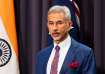 US  election, US poll, Donald Trump, Kamala Harris, S Jaishankar 