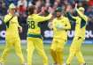 Adam Zampa celebrates a wicket with Josh Inglis and his other teammates.