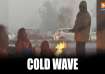 Cold wave