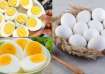 Eat 2 eggs daily to increase vitamin D intake