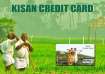 Kisan Credit Card: What is it, how to apply and documents needed