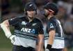 New Zealand got to a magnificent score of 172 following a