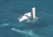 A fuselage in the water off Rottnest