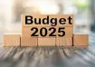 Budget 2025, Budget should reduce tax compliance burden on middle class, Middle Class, Middle Class 