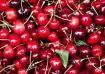 Chilean Cherries