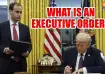 What is an executive order and how common is it in US history