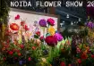 Noida flower show 2025