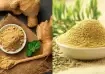 Know benefits of eating ginger and fennerl powder