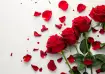 Rose Day 2025: Unique gift ideas for your partner