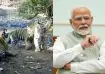 PM Modi, Madhav Tiger Reserve, Tiger Reserve in India