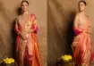 Alia Bhatt&#039;s nauvari saree at WAVES 2025 