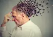 brain ageing 