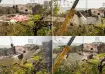Ahmedabad plane crash, air india boeing 787 crash, air india plane crash report, air india crash rep