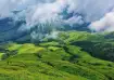 Scenic view of coffee plantations in Chikmagalur