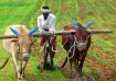 Kisan Diwas 2025: Chek top 10 government schemes for farmers