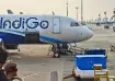 More trouble for IndiGo: Regulator considers antitrust