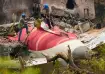 Air India crash, Air India plane crash