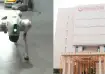 The robot dog presented by Galgotias University as their