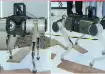Quadrupedal robotic dog at AI Summit 2026