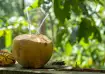 From hydration benefits to potential side effects, coconut