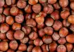 Hazelnuts: The tiny nut with big health benefits