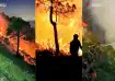 Forest fires