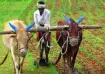 VB-G RAM G Act to replace MGNREGA from July 1 