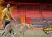 Poster from Khatron Ke Khiladi 15