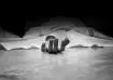 Andhra murder-suicide