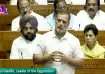 Rahul Gandhi in the Lok Sabha